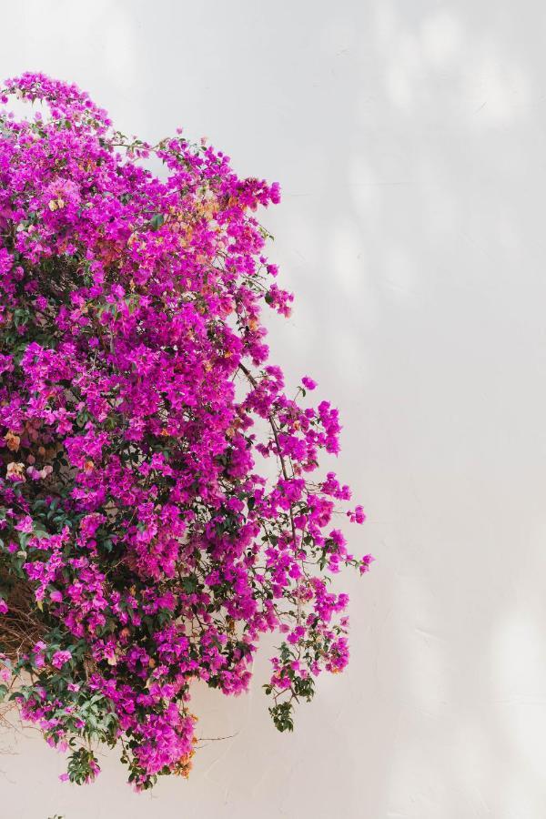 Hotel Ritual De Terra & Spa Javea Luaran gambar